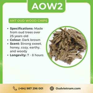 Best Quality <b>OUD</b> VIETNAM Ant Wood <b>Oud</b> Wood <b>Bakhoor</b> for Home Use Fragrance Vietnam All-Season Chips AOW2 Long Lasting Strong - Product Image 3