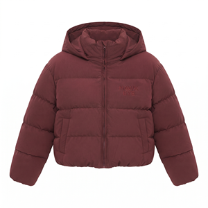 Veste d'hiver courte matelassée pour femme de qualité supérieure, manteau rembourré à manches longues avec fermeture éclair frontale, vêtement d'extérieur décontracté et chaud en polyester, tendance - Product Image 4