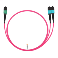Cable de Conexión MTP-16 (Hembra APC) a 2x MTP-8 (Hembra UPC) OM4 Multimodo Elite, 16 Fibras, Plenum (OFNP), Magenta