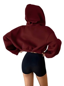Front Hooded Lined Sweatshirt <b>Jacket</b> Hip Hop Short <b>Cropped</b> Design Long Sleeve Top for Spring Autumn Winter - Product Image 2