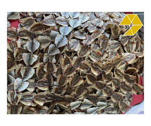 ปลาตระนังแห้ง ปลาทะเลตากแดดทั้งตัว สำหรับทอด ย่าง อาหารทะเลเวียดนาม ปลาตระนังแห้ง ขนมขบเคี้ยวอาหารทะเล - Product Image 1