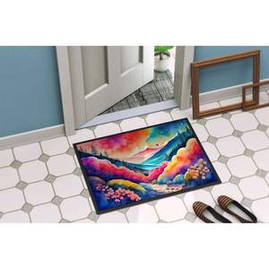 Alfombrilla de puerta de pila baja lavable antideslizante Brunia 24H X 36W alfombrilla de puerta delantera interior/exterior para puerta de entrada felpudo colorido - Product Image 4