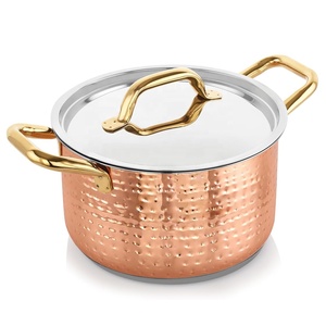 Thương mại cửa hàng thiết kế cổ điển ngay lập tức mì canh đồ nấu nướng nồi với nắp thép không gỉ đồng kim loại bìa cho nấu ăn - Product Image 1