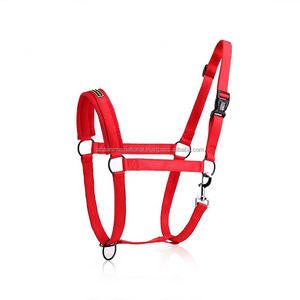 High Quality Horse <b>Nylon</b> Halter with Soft Mesh Padding and Iron <b>Hook</b> Plastic <b>Hook</b> Adjustable - Product Image 4
