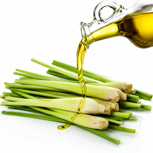 Wholesale Bulk Price 100% Pure Natural Lemongrass <b>Oil</b> Plant Extract <b>Essential</b> <b>Oil</b> Private Label OEM - Product Image 3