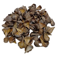 Capsules de graines végétales naturelles de haute qualité pour pot-pourri, arrangements floraux, décoration d'aquarium, etc. – Modèle Pradip Pods