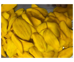 Mango Deshidratado Halal en Forma de Flor, Caja de Plástico, Mango Deshidratado Suave y Masticable, Sabor Natural, Proveedor de Mango Deshidratado de Vietnam, Fábrica OEM ODM - Product Image 1
