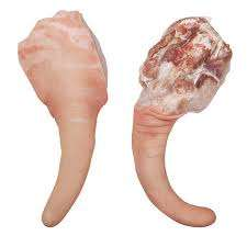 Meilleur prix de gros : Queue de porc surgelée IQF 80/20, qualité A, nutritive, sans sucre, emballage en vrac 25 kg, jambon de porc - Product Image 2