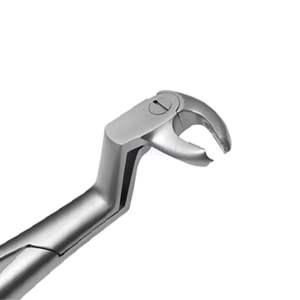 Pinzas de Extracción Dental para Molares Superiores Derechos, Extractor de Dientes Quirúrgico de Acero Inoxidable, Cirugía Oral OEM - Product Image 3