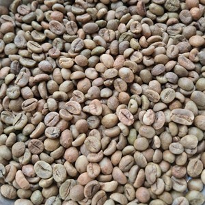 Nouvelle récolte de grains de café Robusta bruts, matière première pour torréfaction, processus naturel, tamis 13, qualité biologique supérieure, provenance Vietnam - Product Image 3