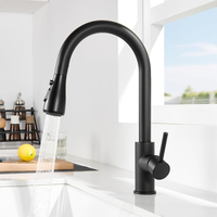 Keran Dapur Stainless Steel 304 Matte Black Grosir