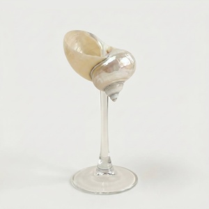 Verre à vin en coquille de conque exotique, fait main, prix bas, verrerie nautique en coquillage, verres à martini - Product Image 1