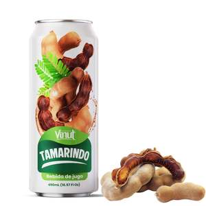 Bebida de Puré de Jugo de Tamarindo en Lata de Aluminio de 500 ml, Venta al por Mayor, Marca Privada, Muestra Gratuita, Fabricante de Vietnam - Product Image 1