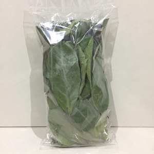 Feuilles de graviola séchées de qualité supérieure, provenant directement des fermes vietnamiennes, séchées au soleil et sans pesticides, idéales pour les infusions aux herbes. - Product Image 6