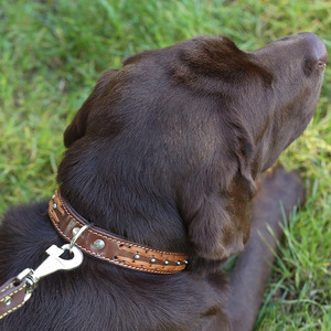 Collares ajustables de cuero trenzado para perros al por mayor, con construcción de cuero artesanal para un mayor confort a bajo precio. - Product Image 5
