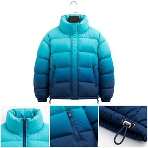 Veste matelassée unisexe à dégradé de couleurs, manteau d'hiver à col montant, fermeture éclair, streetwear d'extérieur, personnalisable, marque privée, OEM, ODM - Product Image 2