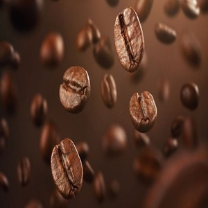 Café en grains torréfiés Robusta de haute qualité, grade A, provenant de Turquie, sacs de 1 kg, usage professionnel - Product Image 3