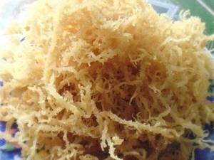 โรงงานป่าตะไคร่น้ำทะเลที่มีคุณภาพสูงและต่ำ PRICE_Ms.Alita - Product Image 3