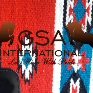 Almohadilla de montura ecuestre occidental personalizable de primera calidad, 100% fieltro de lana de Nueva Zelanda en la parte inferior, para entrenamiento y competición de equitación. - Product Image 5