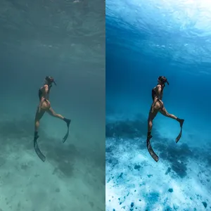 Servicio de Edición de Fotos Subacuáticas con Corrección de Color Profesional, Recuperación de Destellos y Limpieza de Fondo al Mejor Precio - Product Image 2