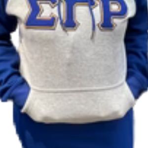 เสื้อฮู้ดแขนยาวแบบมีกระเป๋า Sigma Gamma Rho Chenille สีน้ำเงินเทา SGRho เสื้อผ้าพรีเมียมของกรีซ เสื้อสเวตเชิ้ตสำหรับชมรมนักศึกษา - Product Image 4