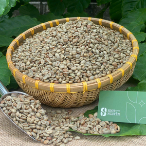 Café en vrac non torréfié de haute qualité, processus vert, fèves mûres, OEM, sac de 60 kg, lavé, 99% Arabica, export usine Vietnam, pour café - Product Image 2