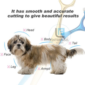 Tijeras de Peluquería Canina Rectas de Diseño Nuevo en Color Contrastante, Tijeras de Peluquería Canina Rectas de Marca Privada - Product Image 6