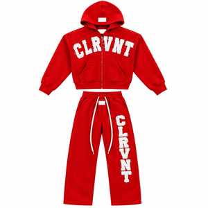 CLRVT <b>Pink</b> Hooded <b>Tracksuit</b> <b>Set</b> Unisex Full Length Drawstring Sweatshirt Sweatpants Letter Print Casual Sportswear High Street - Product Image 4