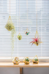 Soporte Colgante de Metal Hecho a Mano para Plantas Aéreas, Decoración Boho para Hogar y Jardín, Venta al Por Mayor - Product Image 6