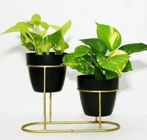 Maceta minimalista de hierro negro con patas de alambre dorado, diseño minimalista, decoración interior para plantas verdes - Product Image 1