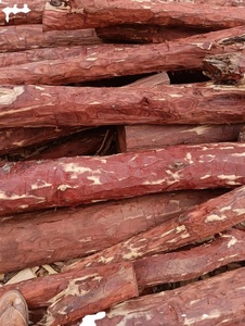 ไม้จันทน์แดง (Pterocarpus Santalinus) เกรด AA คุณภาพพรีเมียม สำหรับใช้ในอุตสาหกรรม ยี่ห้อ CRADLE of LIFE จากอินเดีย - Product Image 6