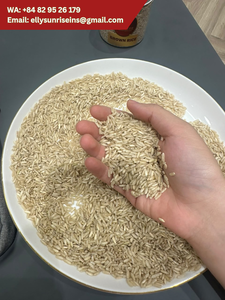 Sunrise Ins LTD Brown Long-Grain Rice Whole Grain <b>Dried</b> Dong Thap Vietnam 2026 Crop 2-Year Shelf Life GMO-Free - Product Image 4