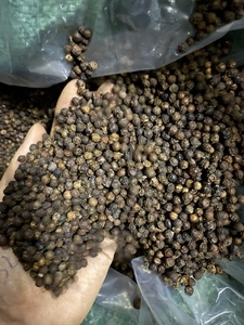 พริกไทยดำเวียดนามพรีเมียม – เมล็ดพริกไทยทั้งเม็ดคัดสรรอย่างพิถีพิถัน กลิ่นหอมเข้มข้น รสชาติกลมกล่อม ผ่านกระบวนการผลิตที่ถูกสุขอนามัย และเชื่อถือได้ - Product Image 1