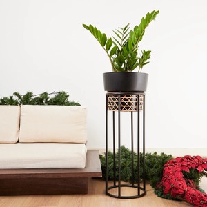 2026 New Design MTK Eco-Friendly <b>Small</b> Iron Powder Coated Planter for Indoor Offices and Homes Flower <b>Pots</b> - Product Image 2