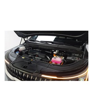 Kia Carnival HEV 2024, Modelo Signature de 7 Plazas, 18,490 km, Caja de Cambios Automática, Asientos de Cuero, Cámara Trasera, Volante a la Izquierda - Product Image 6