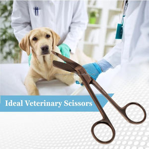 Tijeras para vendajes de 5.5 pulgadas, color marrón, para zurdos, de acero inoxidable, para traumatismos, OEM ODM, instrumentos quirúrgicos manuales, grado médico, CE - Product Image 3