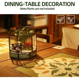 Terrario de Vidrio de Alta Calidad, Elegante Decoración de Mesa o Centro de Mesa para una Presentación con Estilo - Product Image 2