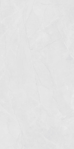 Vente directe d'usine, carreaux de sol en granit 600x1200mm super polis pour salle de banquet. - Product Image 4