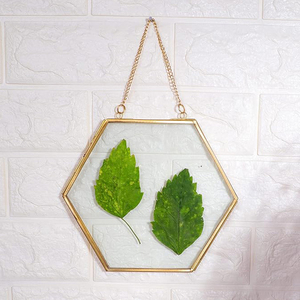 Cadre photo hexagonal en laiton et verre, finition dorée, à suspendre, pour la maison ou le bureau, cadre décoratif mural, best-seller, prix raisonnables - Product Image 5