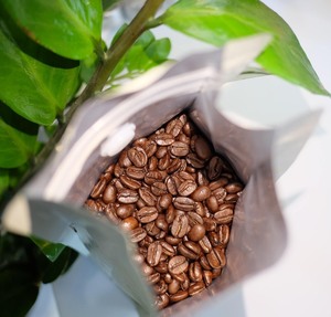 กาแฟเวียดนาม HANCOFFE ขายดี 100% อาราบิก้า คั่วกลาง เมล็ดกาแฟคั่วเต็มเมล็ด คุณภาพมาตรฐาน รสชาติกลางๆ รับผลิตแบบ OEM/ODM บรรจุภัณฑ์แบบถุง - Product Image 6