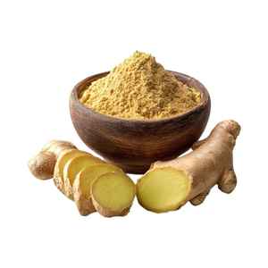 Vietnam Origin <b>Ginger</b> Powder Food Grade High Purity for Beverage Bakery and Seasoning Applications - Product Image 1