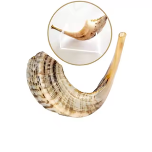 Shofar en corne de mouton naturelle, poli à la main, style animalier, pour usages religieux, personnalisable, best-seller - Product Image 5