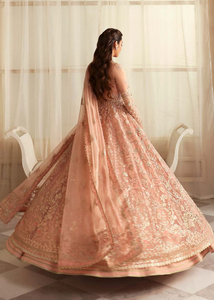 Robe de mariée pakistanaise sur mesure pour femmes musulmanes, avec broderie et imprimé, robe pakistanaise pour occasions spéciales - Product Image 3