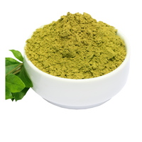 Poudre biologique écologique végane pour la croissance des cheveux et le contrôle des pellicules avec Amla, Ashwagandha, feuilles de curry et Tulsi - Formule 2-en-1