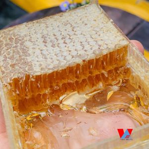 Miel de panal 500g/3,5 oz., panal crudo, miel de bosque pura fresca, sin filtrar sin calentar directo de colmenas origen Vietnam/Lirio - Product Image 4