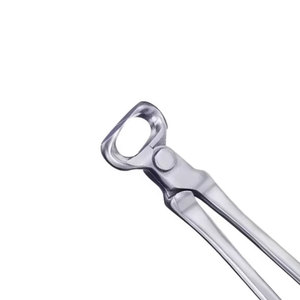 Cortauñas de Acero Inoxidable de 14 Pulgadas con Mango Antideslizante, Certificación CE, para Herraduras, Veterinaria y Equinos - Product Image 6