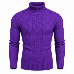 Pull en maille torsadée à manches longues pour homme, col et poignets côtelés, texture texturée, mode hiver, vente en gros - Product Image 1
