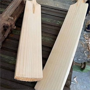 Bate de Críquet de Madera de Sauce Inglés de Grado 1, Edición Profesional Premium para Jugadores, Bate Ligero para Golpes Potentes - Product Image 2