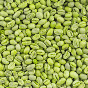 Vietnam Green <b>Robusta</b> <b>Coffee</b> <b>Beans</b> Colored Natural Unroasted Seed Bulk Supply OEM ODM Export Grade 12% Moisture - Product Image 1