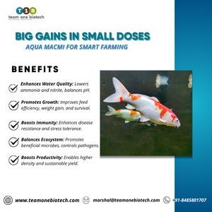 Bioestimulante para la cría de camarones para mejorar las tasas de crecimiento - Product Image 3